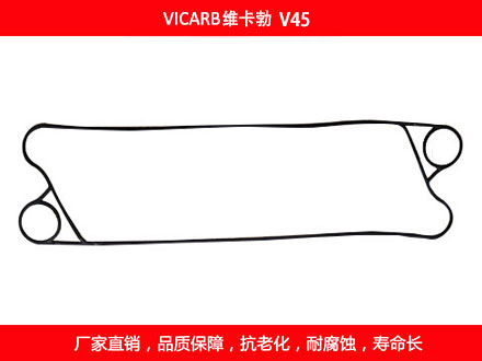 V45 國產板式91抖音APP下载密封墊片
