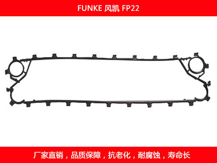 FP22 國產板式91抖音APP下载密封墊片