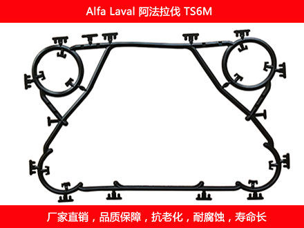 TS6M 國產板式91抖音APP下载密封墊片