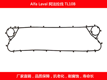 TL10B 國產板式91抖音APP下载密封墊片
