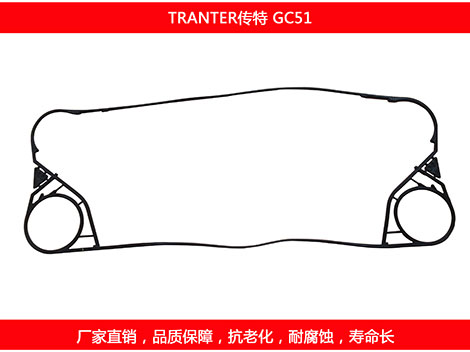 GC51 國產板式91抖音APP下载密封墊片