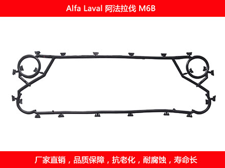 M6B 國產板式91抖音APP下载密封墊片