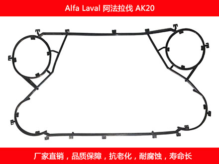 AK20 國產板式91抖音APP下载密封墊片
